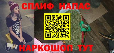 шишки Лесосибирск