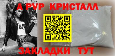 шишки Лесосибирск