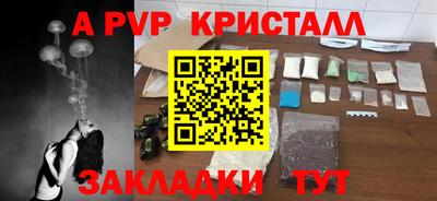 шишки Лесосибирск