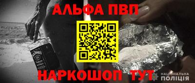 шишки Лесосибирск