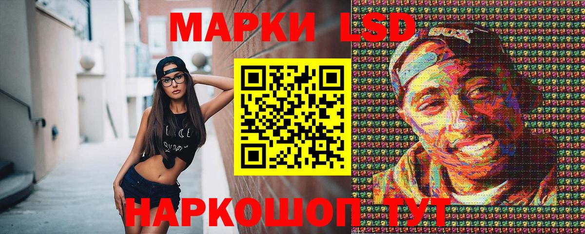 Псилоцибиновые грибы Вязники