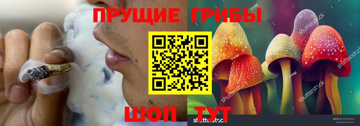 Галлюциногенные грибы GOLDEN TEACHER  Вход с VPN  Вязники  Галлюциногенные грибы прущие грибы 